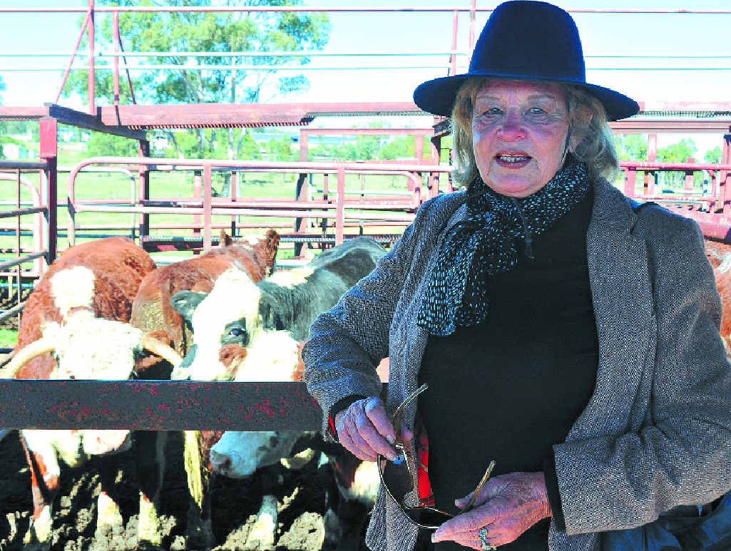 COLD CASH: Clifton property owner Julia Simmons braved the cold to check out the market at the Warwick Cattle Sale yesterday. COLD CASH: Clifton property owner Julia Simmons braved the cold to check out the market at the Warwick Cattle Sale yesterday.